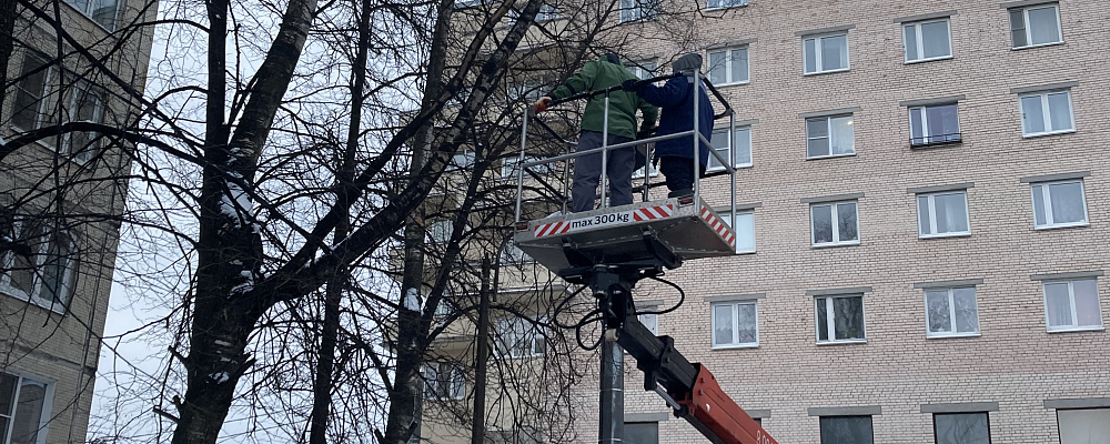Опиловка деревьев с использованием авто-вышки.